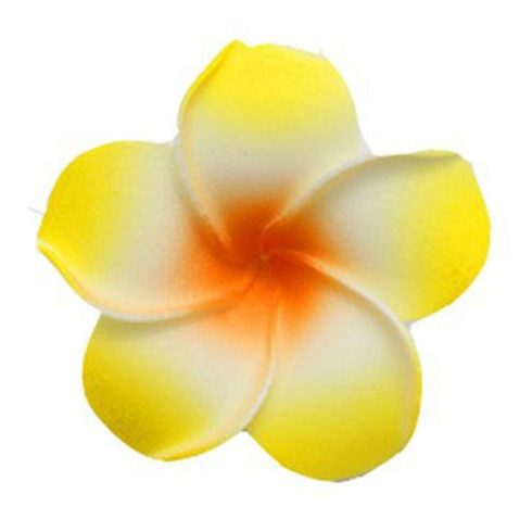 FRANGIPÁNI csomag Hawaii rózsa egzotikus virág dekoráció díszdobozban SÁRGA  - 10 darab