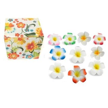  FRANGIPÁNI csomag Hawaii rózsa  egzotikus virág dekoráció díszdobozban VEGYES SZÍNBEN  - 10 darab