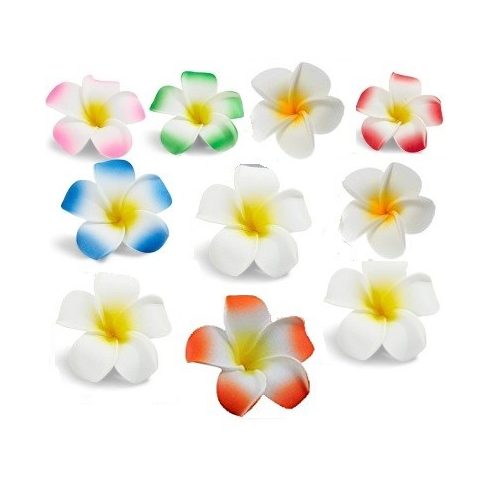 FRANGIPÁNI csomag Hawaii rózsa  egzotikus virág dekoráció díszdobozban VEGYES SZÍNBEN  - 10 darab