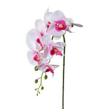 Dekoráció, egzotikus ORCHIDEA szál NAGY - 70 cm